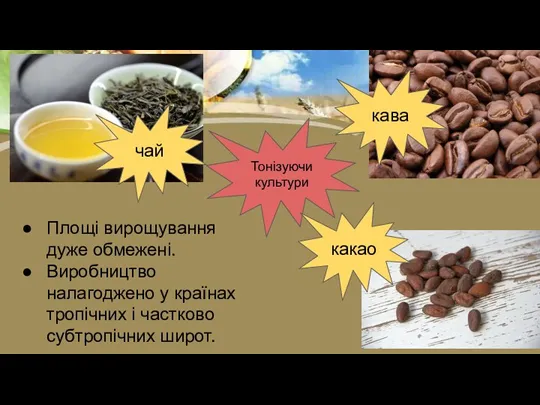 Тонізуючи культури чай кава какао Площі вирощування дуже обмежені. Виробництво