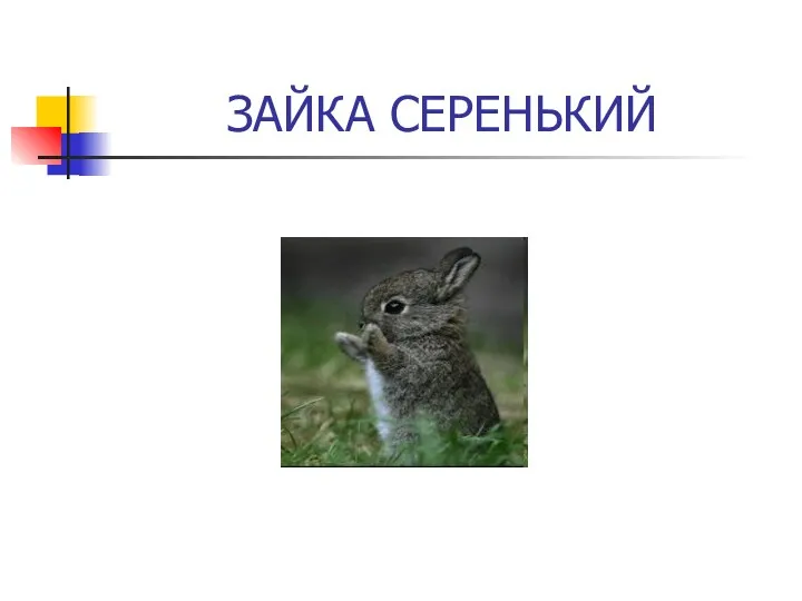 ЗАЙКА СЕРЕНЬКИЙ