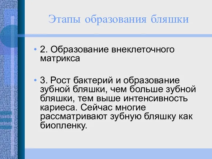 2. Образование внеклеточного матрикса 3. Рост бактерий и образование зубной