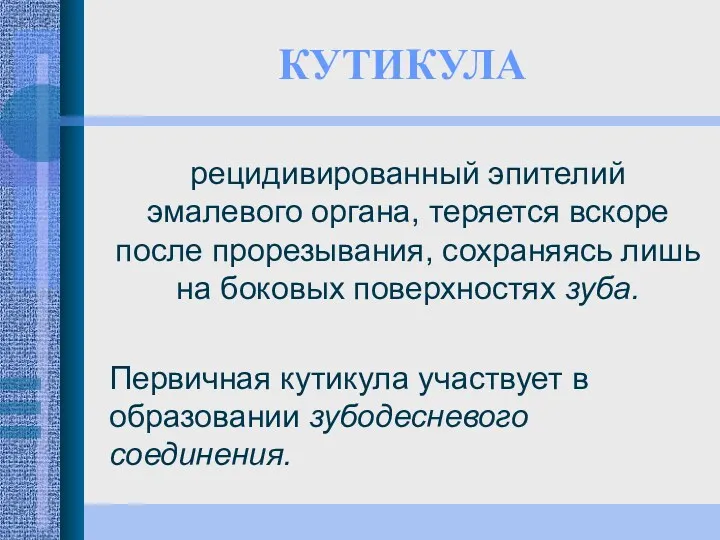 КУТИКУЛА рецидивированный эпителий эмалевого органа, теряется вскоре после прорезывания, сохраняясь