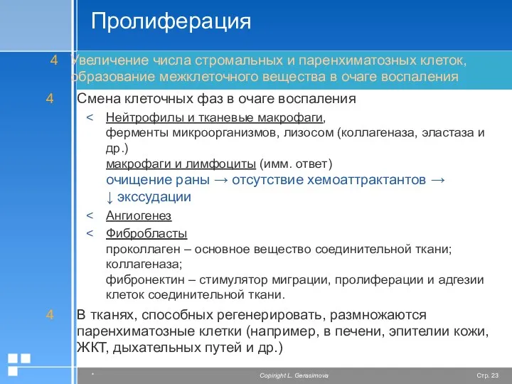 Пролиферация Увеличение числа стромальных и паренхиматозных клеток, образование межклеточного вещества