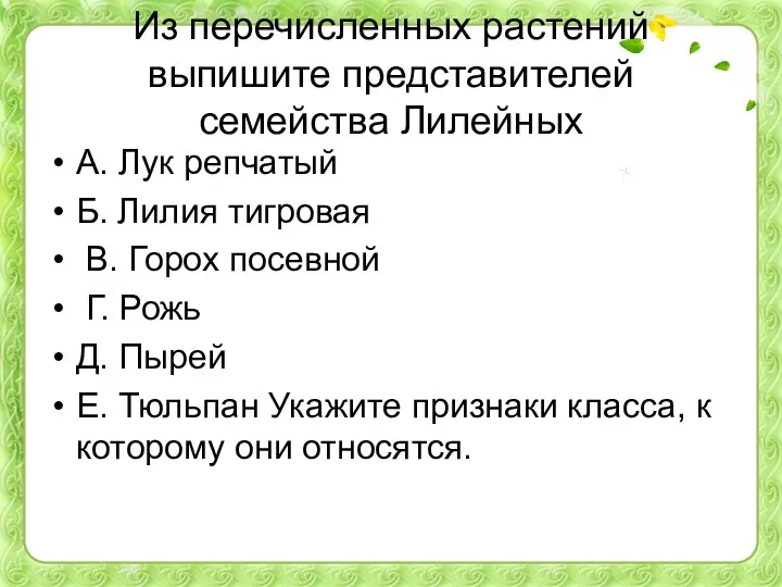 Из перечисленных растений выпишите представителей семейства Лилейных A. Лук репчатый