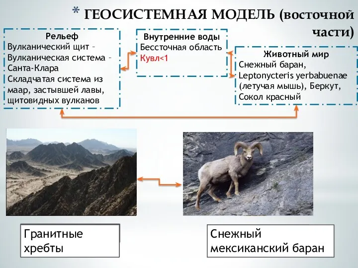 ГЕОСИСТЕМНАЯ МОДЕЛЬ (восточной части) Внутренние воды Бессточная область Кувл Рельеф