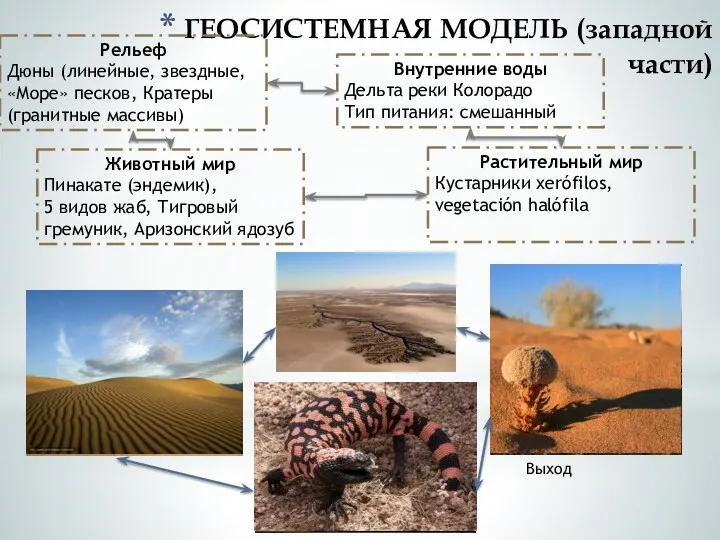 ГЕОСИСТЕМНАЯ МОДЕЛЬ (западной части) Рельеф Дюны (линейные, звездные, «Море» песков,