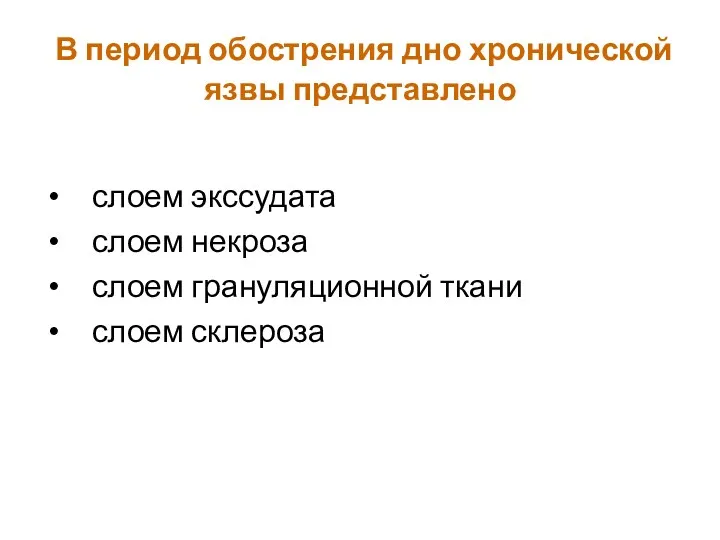 В период обострения дно хронической язвы представлено слоем экссудата слоем некроза слоем грануляционной ткани слоем склероза