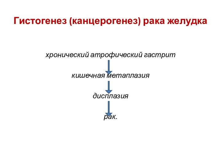 Гистогенез (канцерогенез) рака желудка хронический атрофический гастрит кишечная метаплазия дисплазия рак.