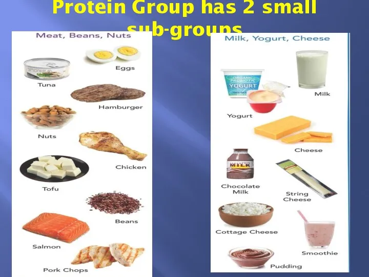 Protein Group has 2 small sub-groups