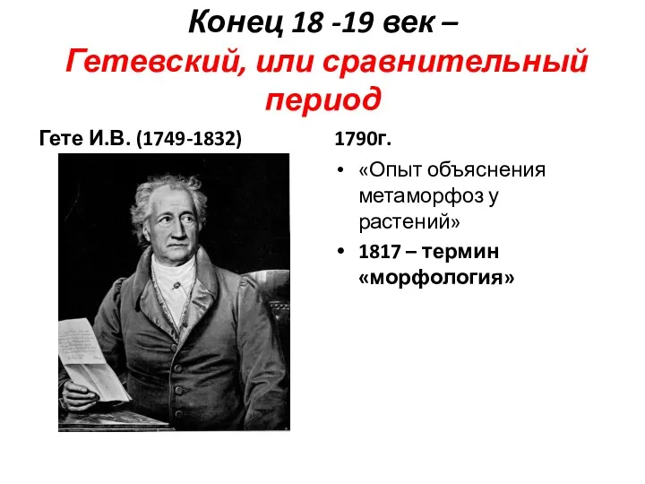 Конец 18 -19 век – Гетевский, или сравнительный период Гете И.В. (1749-1832) 1790г.