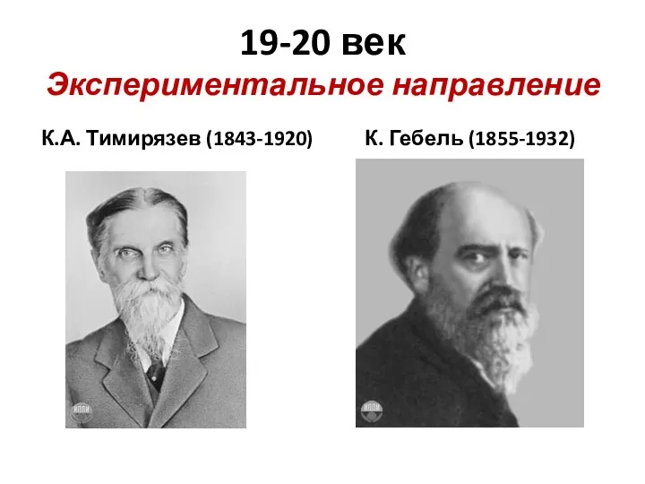 19-20 век Экспериментальное направление К.А. Тимирязев (1843-1920) К. Гебель (1855-1932)