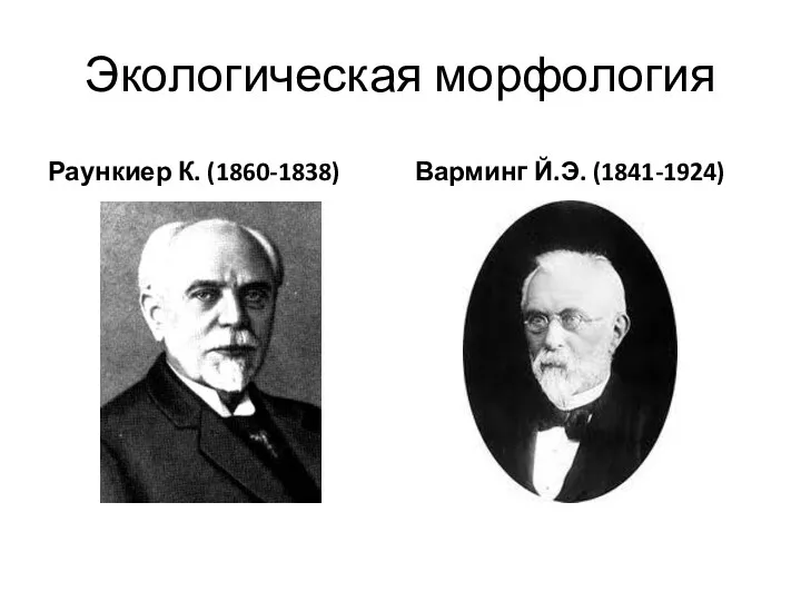 Экологическая морфология Раункиер К. (1860-1838) Варминг Й.Э. (1841-1924)