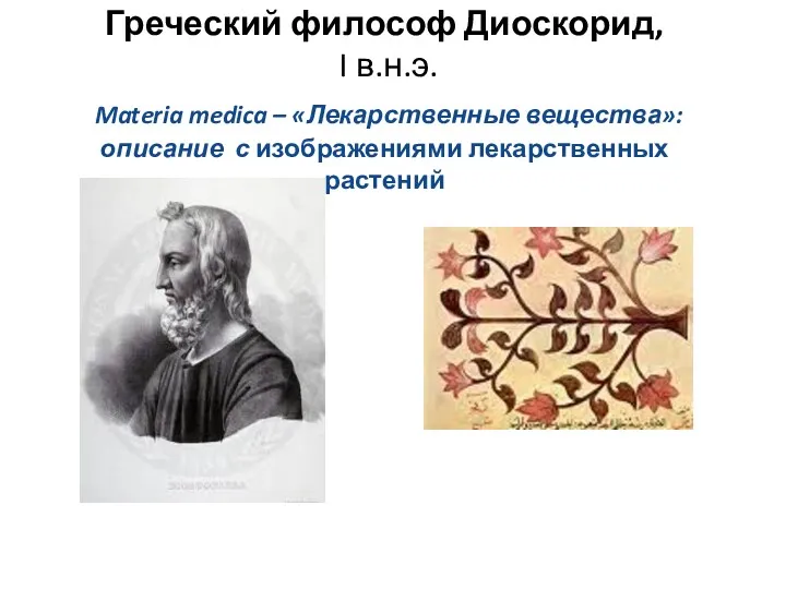 Греческий философ Диоскорид, I в.н.э. Materia medica – «Лекарственные вещества»: описание с изображениями лекарственных растений
