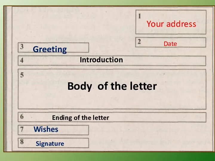 Your address Date Greeting Introduction Body of the letter Ending of the letter Wishes Signature