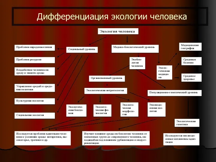 Дифференциация экологии человека