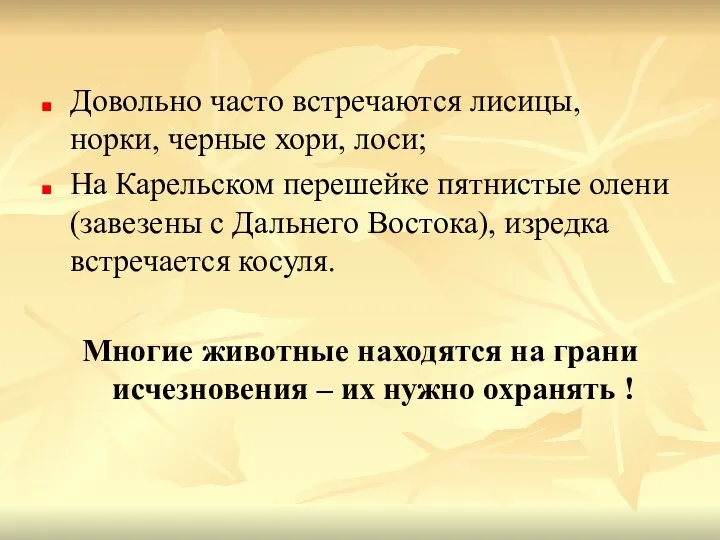 Довольно часто встречаются лисицы, норки, черные хори, лоси; На Карельском