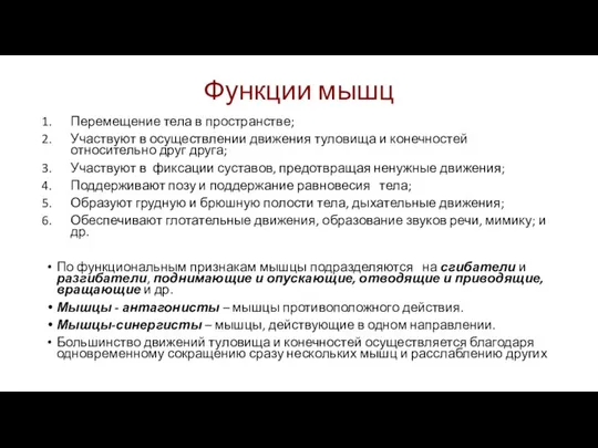 Функции мышц Перемещение тела в пространстве; Участвуют в осуществлении движения туловища и конечностей