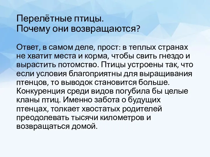 Перелётные птицы. Почему они возвращаются? Ответ, в самом деле, прост: в теплых странах