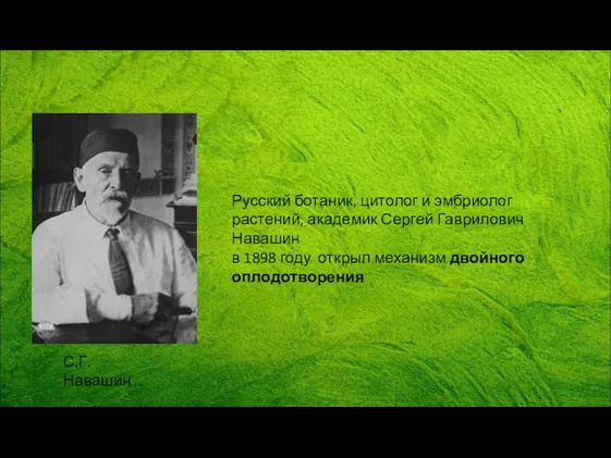 Русский ботаник, цитолог и эмбриолог растений, академик Сергей Гаврилович Навашин