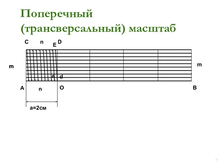 Поперечный (трансверсальный) масштаб А В m m m О C