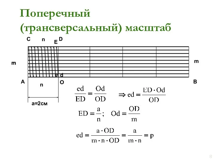 Поперечный (трансверсальный) масштаб