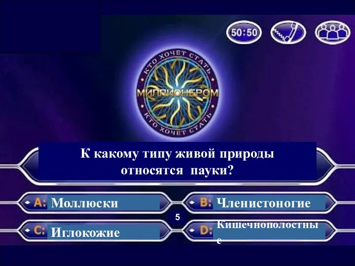 К какому типу живой природы относятся пауки? Моллюски Иглокожие Членистоногие Кишечнополостные 5