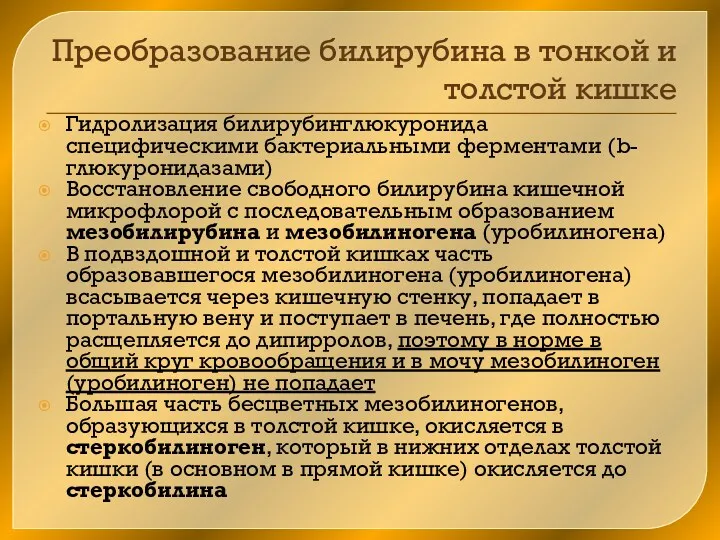 Преобразование билирубина в тонкой и толстой кишке Гидролизация билирубинглюкуронида специфическими