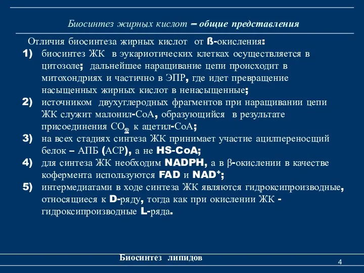 Биосинтез жирных кислот – общие представления Биосинтез липидов Отличия биосинтеза