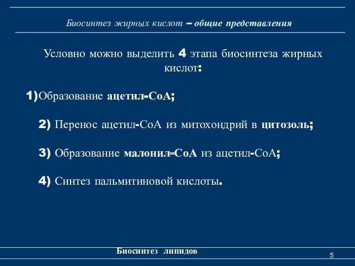 Биосинтез жирных кислот – общие представления Биосинтез липидов Условно можно