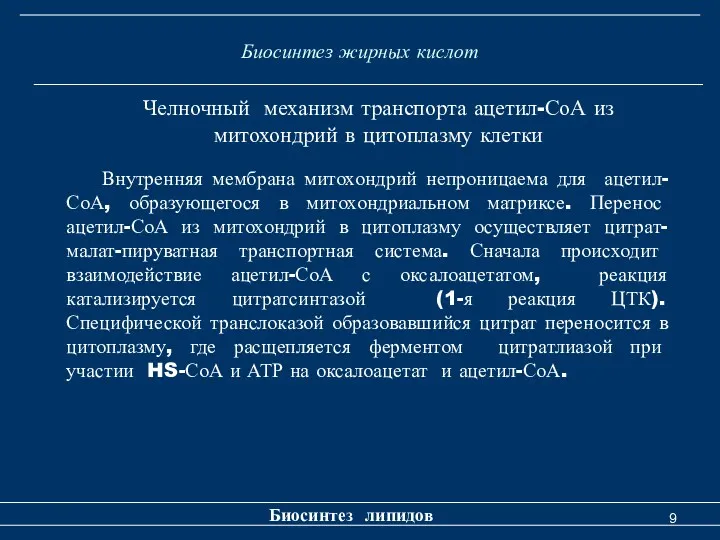 Биосинтез жирных кислот Биосинтез липидов Челночный механизм транспорта ацетил-СоА из