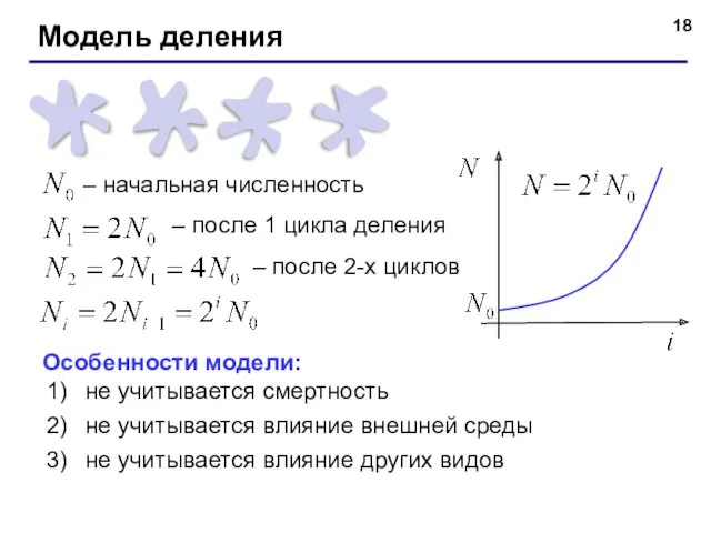 – начальная численность – после 1 цикла деления – после