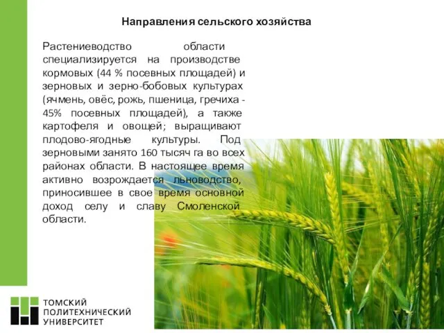 Направления сельского хозяйства Растениеводство области специализируется на производстве кормовых (44