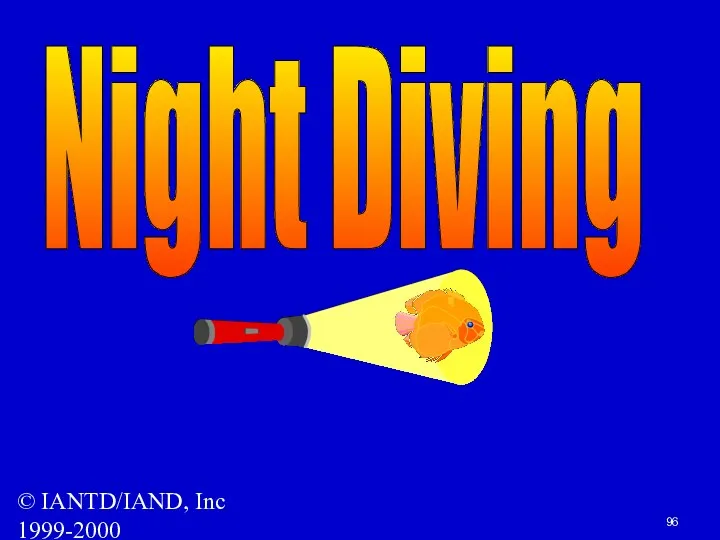 © IANTD/IAND, Inc 1999-2000 Night Diving