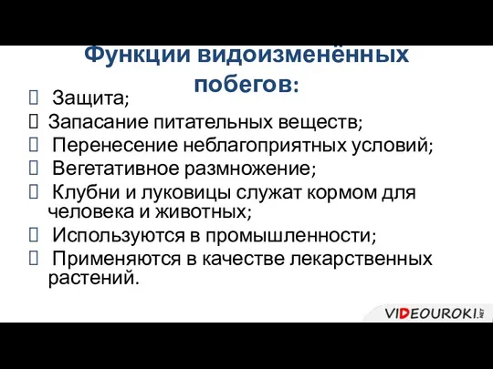 Функции видоизменённых побегов: Защита; Запасание питательных веществ; Перенесение неблагоприятных условий;