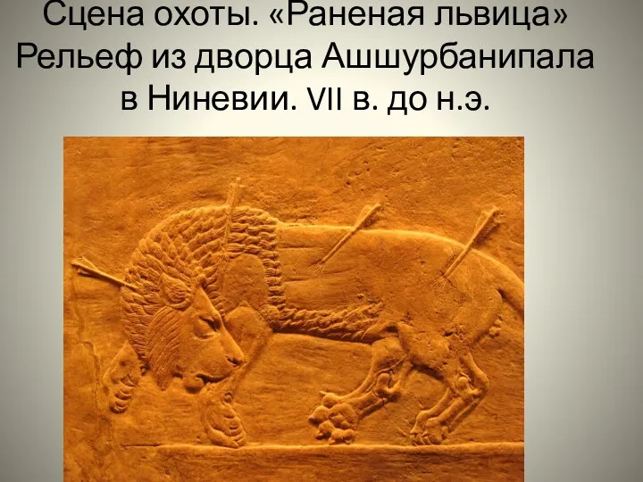 Сцена охоты. «Раненая львица» Рельеф из дворца Ашшурбанипала в Ниневии. VII в. до н.э.