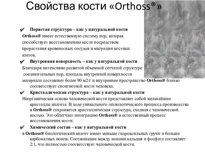 Свойства кости «Orthoss®» Пористая структура – как у натуральной кости Orthoss® имеет естественную