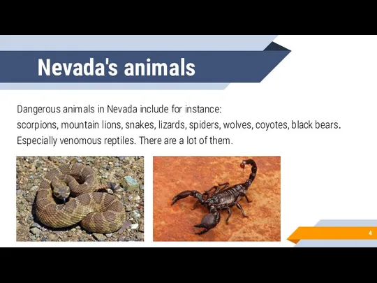 Nevada's animals Dangerous animals in Nevada include for instance: scorpions,