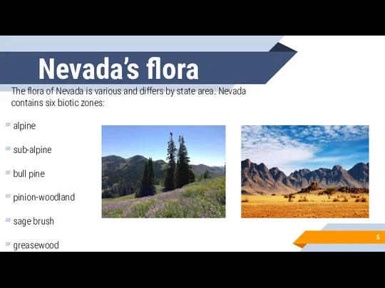 Nevada’s flora The flora of Nevada is various and differs