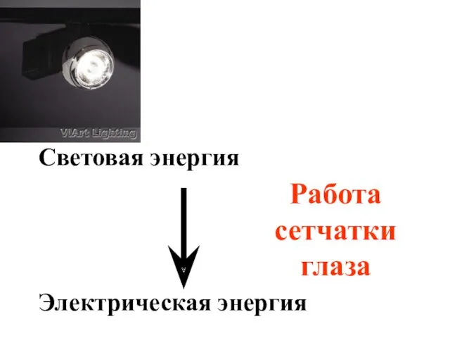 Световая энергия Электрическая энергия Работа сетчатки глаза