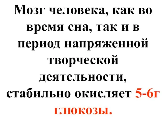 Мозг человека, как во время сна, так и в период