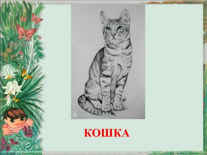 КОШКА