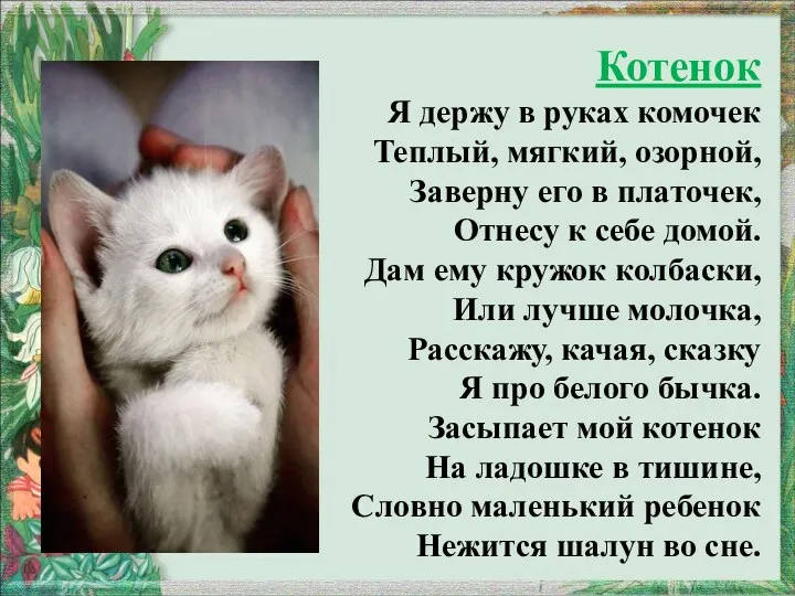 Котенок Я держу в руках комочек Теплый, мягкий, озорной, Заверну