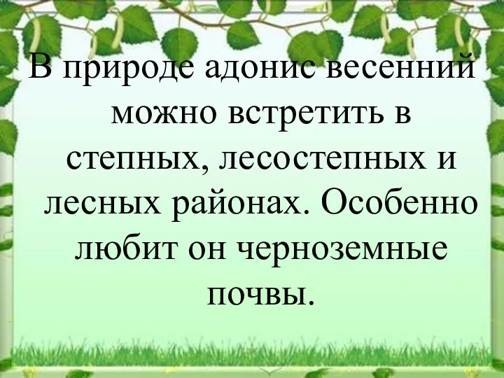 В природе адонис весенний можно встретить в степных, лесостепных и