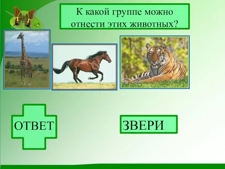 К какой группе можно отнести этих животных? ОТВЕТ ЗВЕРИ