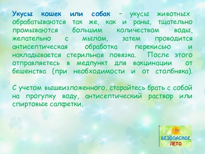 Укусы кошек или собак – укусы животных обрабатываются так же, как и раны,