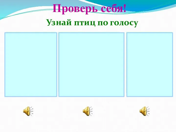 Проверь себя! Узнай птиц по голосу