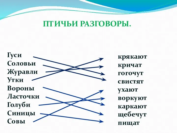 Гуси Соловьи Журавли Утки Вороны Ласточки Голуби Синицы Совы крякают