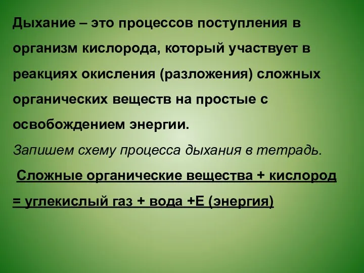 Дыхание – это процессов поступления в организм кислорода, который участвует