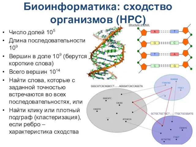 Биоинформатика: сходство организмов (HPC) Число долей 105 Длина последовательности 109