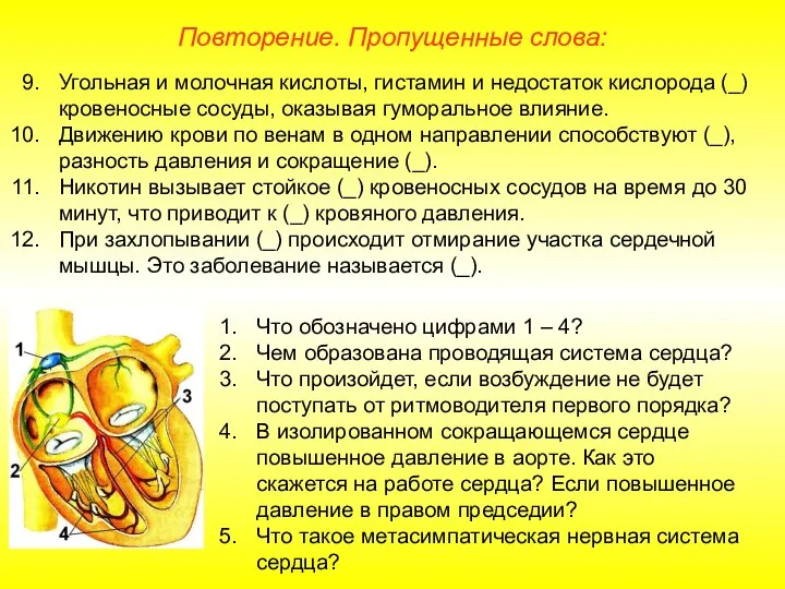 Повторение. Пропущенные слова: Угольная и молочная кислоты, гистамин и недостаток