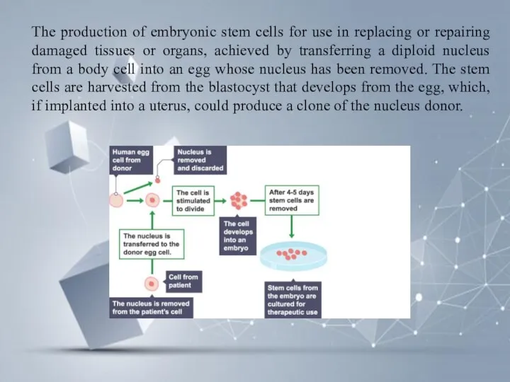 The production of embryonic stem cells for use in replacing