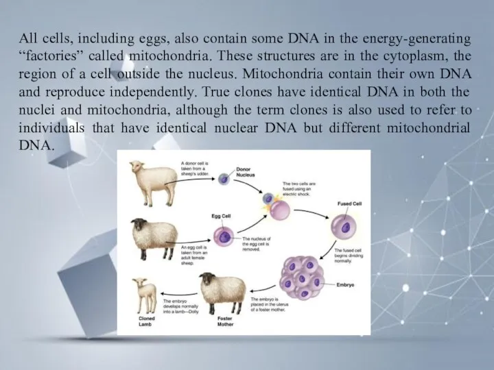 All cells, including eggs, also contain some DNA in the